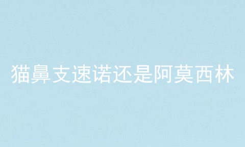 猫鼻支速诺还是阿莫西林