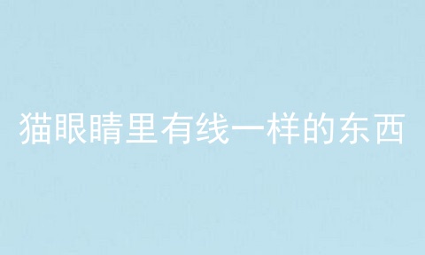 猫眼睛里有线一样的东西