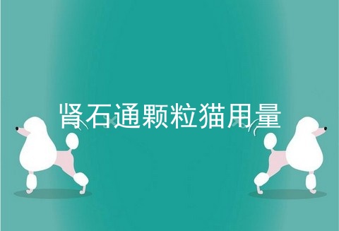 肾石通颗粒猫用量