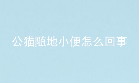 公猫随地小便怎么回事