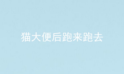 猫大便后跑来跑去