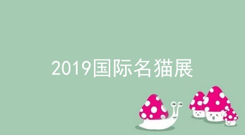 2019国际名猫展