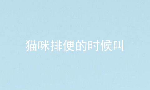 猫咪排便的时候叫