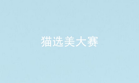 猫选美大赛