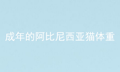 成年的阿比尼西亚猫体重