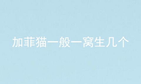 加菲猫一般一窝生几个