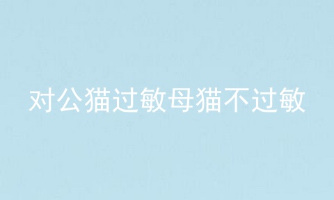 对公猫过敏母猫不过敏
