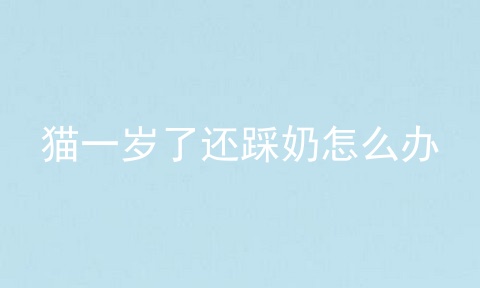 猫一岁了还踩奶怎么办