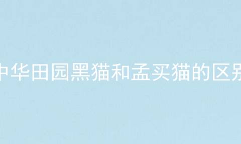 中华田园黑猫和孟买猫的区别