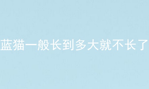 蓝猫一般长到多大就不长了