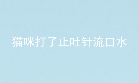 猫咪打了止吐针流口水