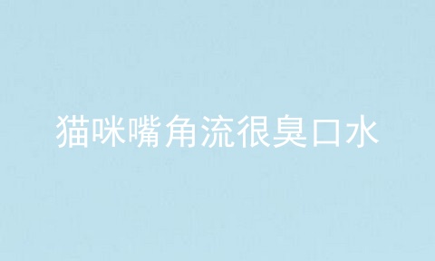 猫咪嘴角流很臭口水