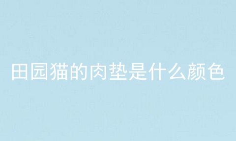 田园猫的肉垫是什么颜色
