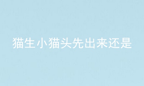 猫生小猫头先出来还是