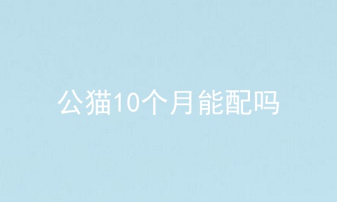 公猫10个月能配吗