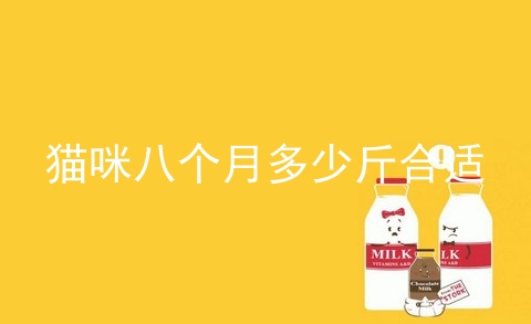 猫咪八个月多少斤合适