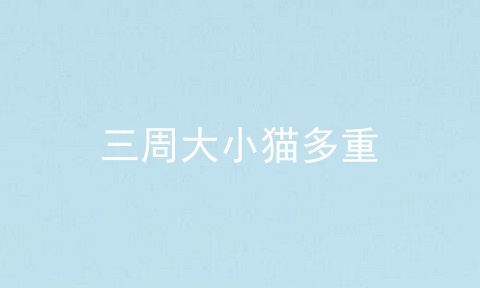 三周大小猫多重