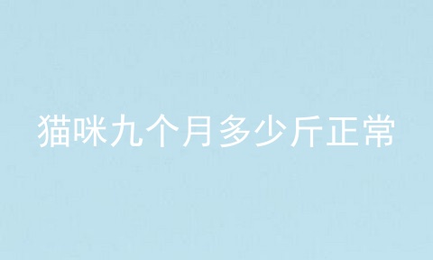 猫咪九个月多少斤正常