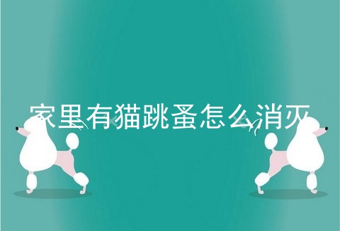家里有猫跳蚤怎么消灭