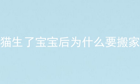 猫生了宝宝后为什么要搬家
