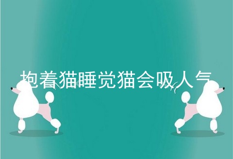 抱着猫睡觉猫会吸人气