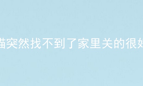 猫突然找不到了家里关的很好