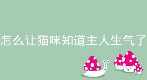 怎么让猫咪知道主人生气了