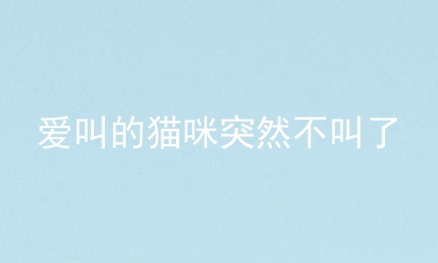 爱叫的猫咪突然不叫了