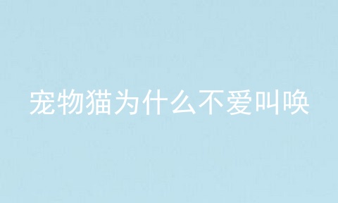 宠物猫为什么不爱叫唤