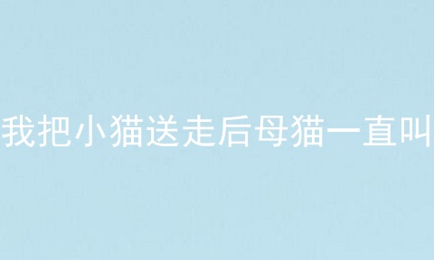 我把小猫送走后母猫一直叫