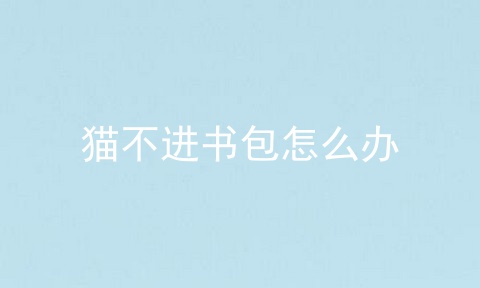 猫不进书包怎么办