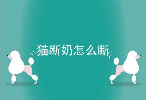 猫断奶怎么断