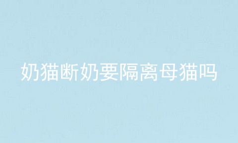 奶猫断奶要隔离母猫吗