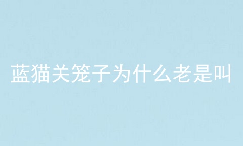 蓝猫关笼子为什么老是叫