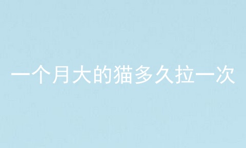 一个月大的猫多久拉一次