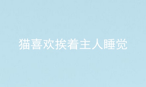 猫喜欢挨着主人睡觉