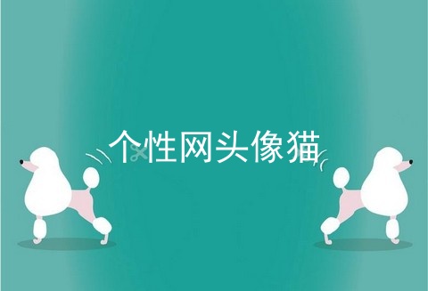 个性网头像猫