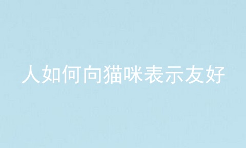 人如何向猫咪表示友好
