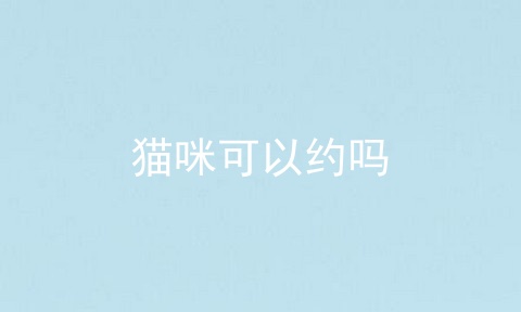 猫咪可以约吗