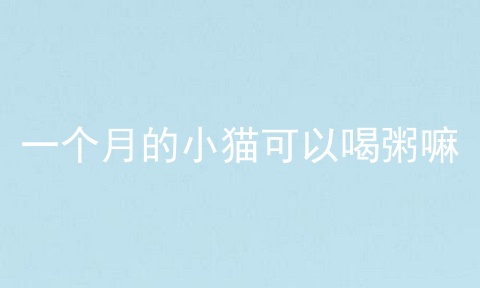 一个月的小猫可以喝粥嘛