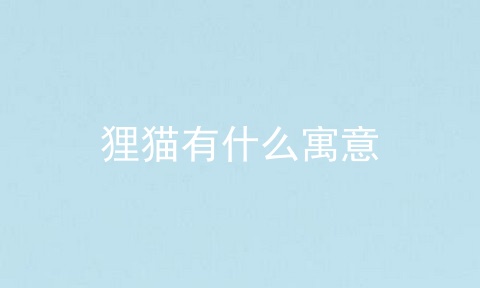 狸猫有什么寓意