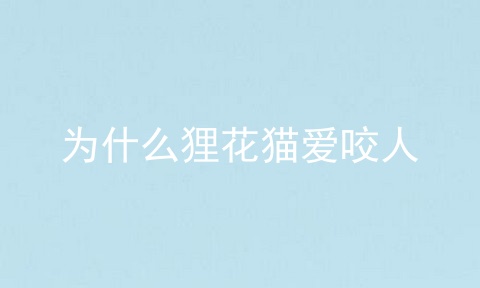 为什么狸花猫爱咬人