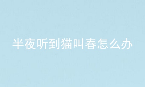 半夜听到猫叫春怎么办