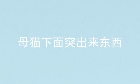 母猫下面突出来东西