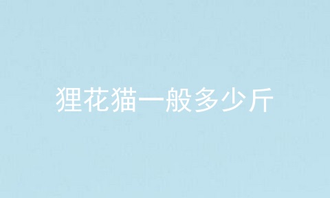 狸花猫一般多少斤