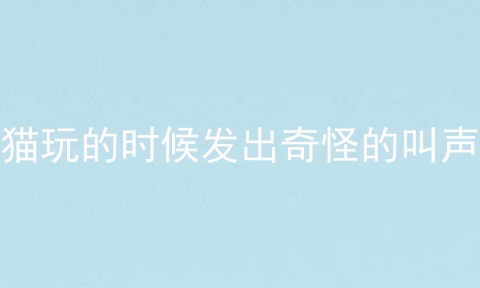 猫玩的时候发出奇怪的叫声