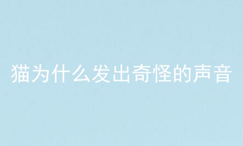 猫为什么发出奇怪的声音