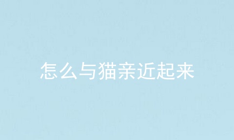 怎么与猫亲近起来