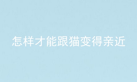 怎样才能跟猫变得亲近