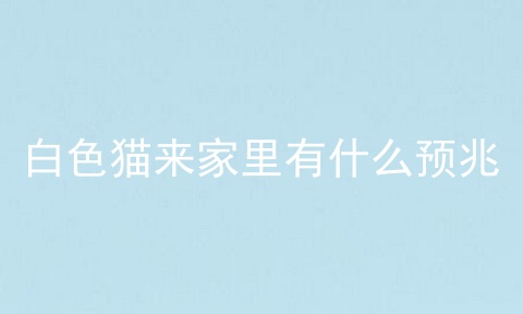 白色猫来家里有什么预兆